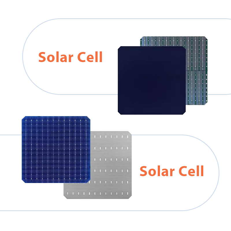 PERC and BC solar cell solar cell